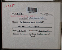 Image Associated With the Occurence